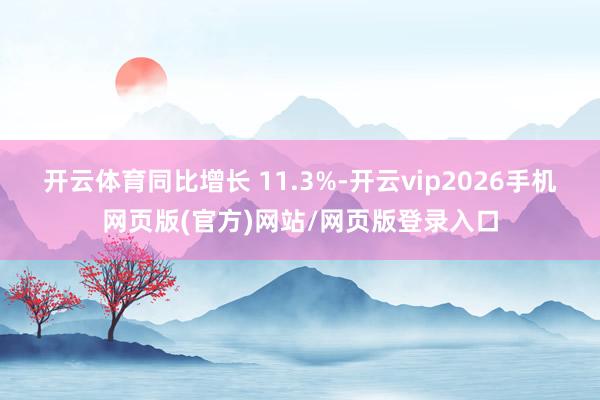 开云体育同比增长 11.3%-开云vip2026手机网页版(官方)网站/网页版登录入口
